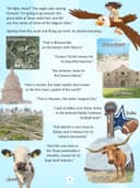 1. Texas