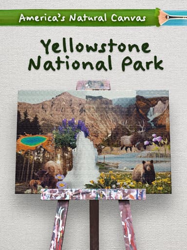Yellowstone National Park cover