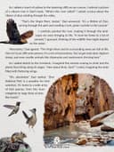 Zion National Park